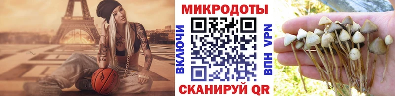 купить цена Сосновка Галлюциногенные грибы GOLDEN TEACHER