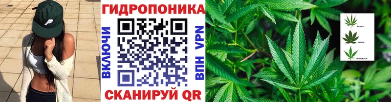 Шишки марихуана тримм Сосновка